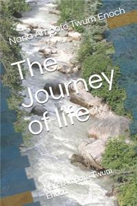 Journey of Life