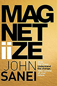 Magnetiize: Stop the Chase. Understand the Change. Take Control of Your Future.