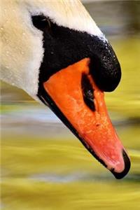 Stunning White Swan on the Lake Journal