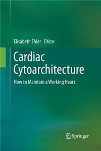 Cardiac Cytoarchitecture