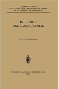 Induktion Und Morphogenese