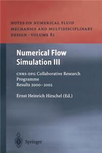 Numerical Flow Simulation III