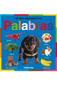 Mi Libro Desplegable de Palabras