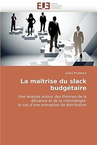 La Maîtrise Du Slack Budgétaire
