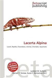 Lacerta Alpina