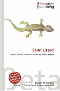 Sand Lizard