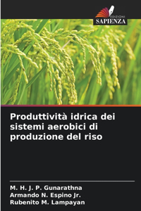 Produttività idrica dei sistemi aerobici di produzione del riso