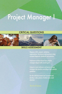 Project Manager I Critical Questions Skills Assessment