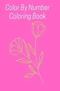 Color by Number Coloring Book