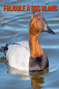 Fuligule à Dos Blanc