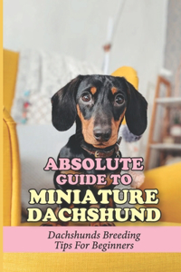 Absolute Guide To Miniature Dachshund