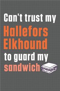 Can't trust my Hallefors Elkhound to guard my sandwich