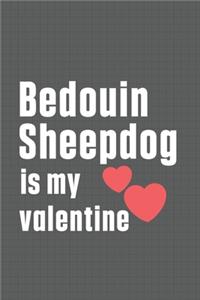 Bedouin Sheepdog is my valentine