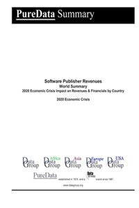 Software Publisher Revenues World Summary