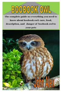 Boobook Owl