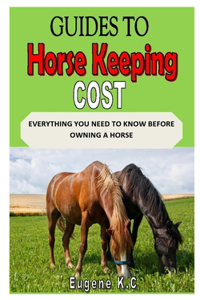 Guides to Horse Keeping Costs: Everything You Need to Know Before Owning a Horse