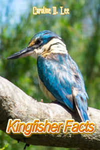 Kingfisher Facts