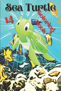 Sea Turtle Coloring Book