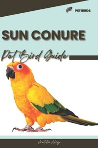 Sun Conure