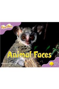 Oxford Reading Tree: Level 1+: More Fireflies A: Animal Faces