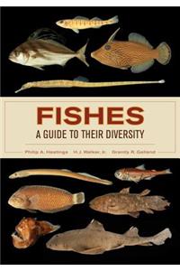 Fishes: A Guide to Their Diversity