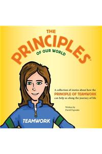 The Principles of Our World - Teamwork