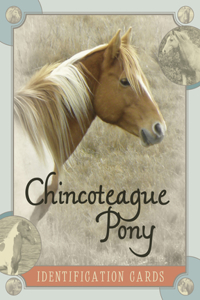 Chincoteague Pony Identification Cards