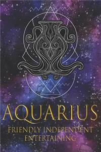 Aquarius Friendly Independent Entertaining