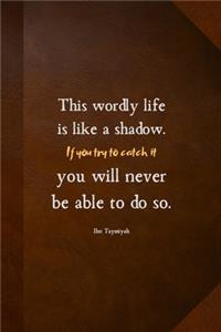 This wordly life is like a shadow
