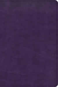 CSB Large Print Personal Size Reference Bible, Purple Leathertouch