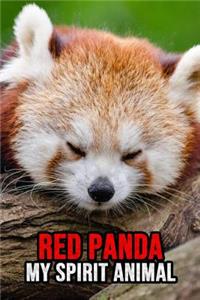 Red Panda My Spirit Animal