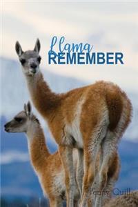 Llama Remember