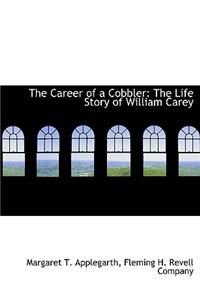 Career of a Cobbler