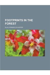 Footprints in the Forest
