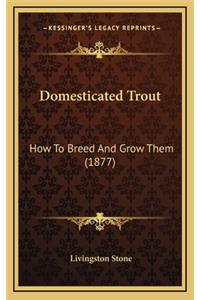Domesticated Trout