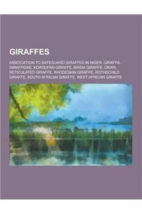 Giraffes