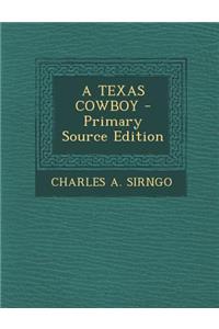 A Texas Cowboy
