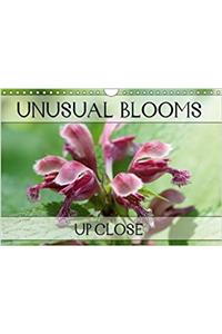 Unusual Blooms Up Close 2018