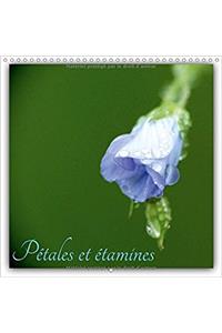 Petales Et Etamines 2018