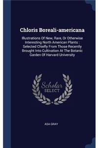 Chloris Boreali-americana