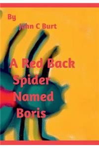 A Red Back Spider Named Boris.