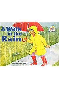 Steck-Vaughn Pair-It Books Early Emergent: Leveled Reader Bookroom Package a Walk in the Rain