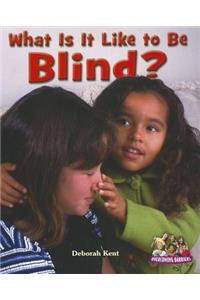 What Is It Like to Be Blind?