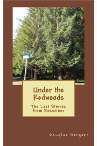 Under the Redwoods