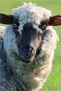 The Sheep Journal: 150 Page Lined Notebook/Diary