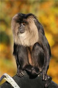 Lion-Tailed Macaque Monkey Journal