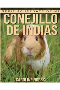 Conejillo de indias: Libro de imágenes asombrosas y datos curiosos sobre los Conejillo de indias para niños