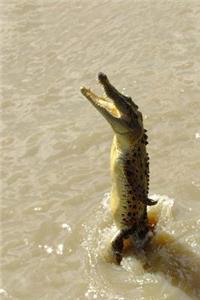 After a While Crocodile Journal