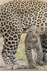 A Precious Baby African Leopard Journal