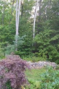 Journal Summer Landscaping